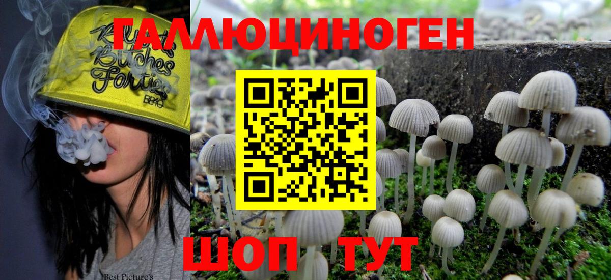 Псилоцибиновые грибы MAGIC MUSHROOMS Ессентуки